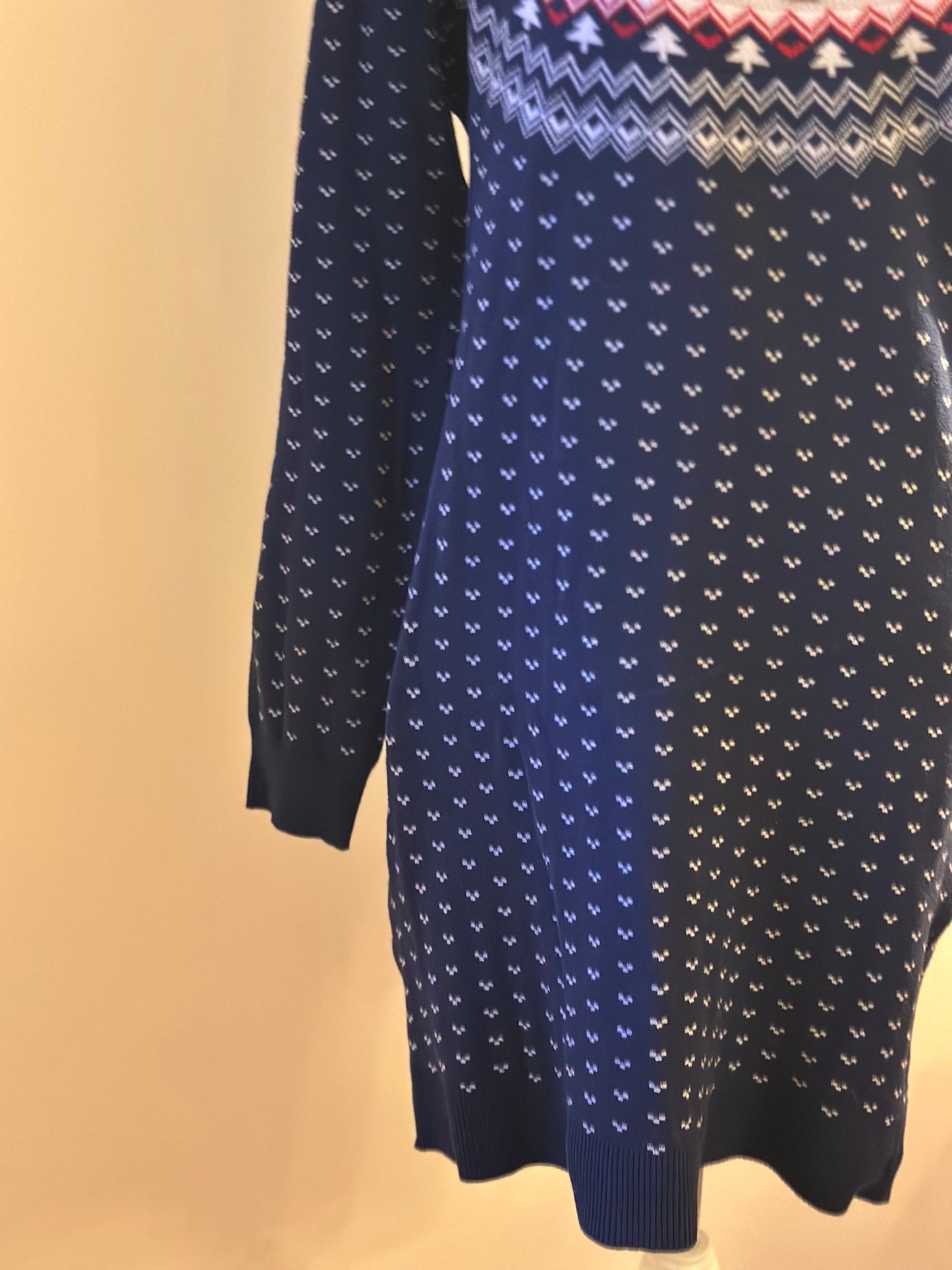 Robe pull marine motif d’hiver T.40