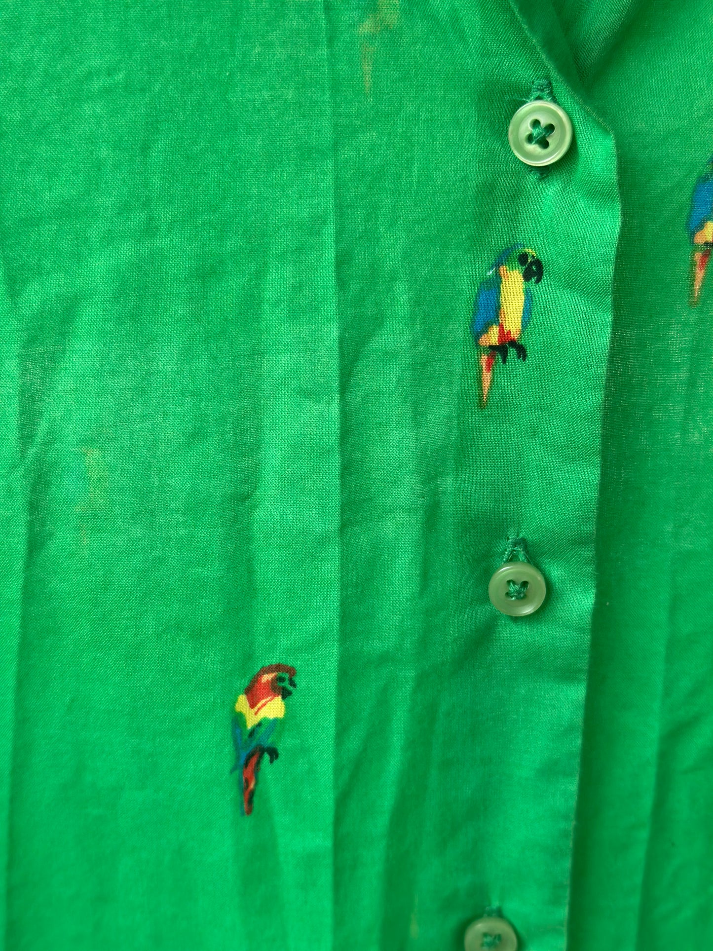 Chemise verte imprimé perroquets 100% coton T.38